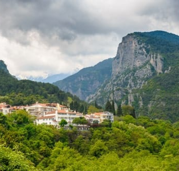 Ζωή στο Βουνό – πλεονεκτήματα Ζωή στο Βουνό - πλεονεκτήματα