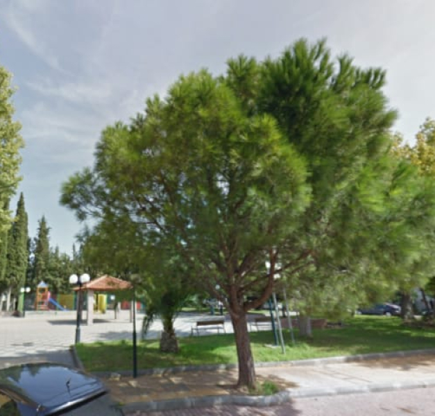 Μεσιτικές Υπηρεσίες Λυκόβρυση – Άποψη της πλατείας Λυκόβρυσης Μεσιτικές Υπηρεσίες Λυκόβρυση - Άποψη της πλατείας Λυκόβρυσης
